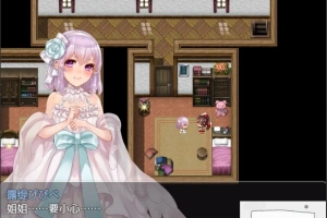 【PC/2D/精品RPG/汉化/全CV】阿尔迪亚塔 Tower of Ardia 精翻汉化版+存档【1.2G】-阿旺资源分享网