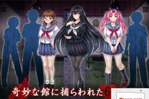 【PC/2D/RPG/汉化/全CV】於某館中 或る館にて 精翻汉化版+全存档【1G】-阿旺资源分享网