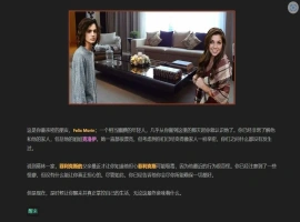 [HTML/浏览器汉化] 我的朋友 Friends of Mine V1.4 浏览器转中文 电脑 [2.5G]-阿旺资源分享网