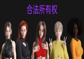 [欧美SLG/汉化]合法所有权 V0.3.2 汉化版[PC+安卓][1.4G/百度]』-阿旺资源分享网