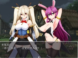 【RPG汉化】银乱的圣骑士HolyKnightBitch【+PC】完整汉化版+全CG【600M】【补档】-阿旺资源分享网