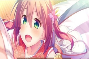 [大型ADV/汉化/全CV] 将军大人芳华正茂 正篇+FD V1.1 PC+安卓模拟精翻汉化版[百度] [8.4G]』-阿旺资源分享网