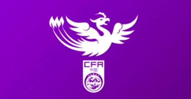 U20女子足球队出征U20女子亚洲杯预选赛的参赛阵容中，刘晨和钟禹新均被列入名单。-阿旺资源分享网