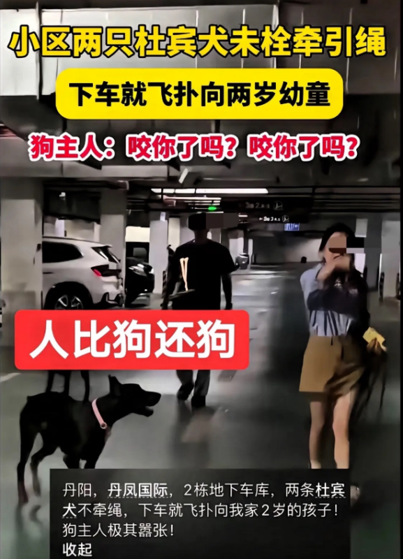 在讨论恶犬咬人事件中，狗主人应承担的责任主要包括以下几个方面：-阿旺资源分享网