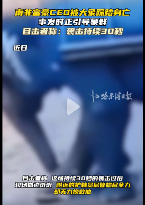 南非富豪CEO被6吨大象踩踏身亡-阿旺资源分享网