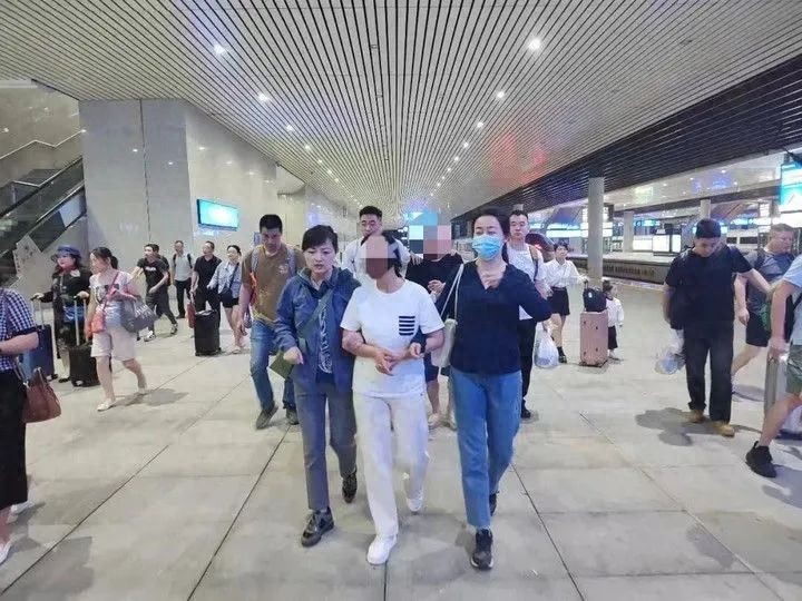 揭秘：冒充熊猫爱好者散布虚假信息谋利——探究“大熊猫虐待”谣言背后的利益网络-阿旺资源分享网
