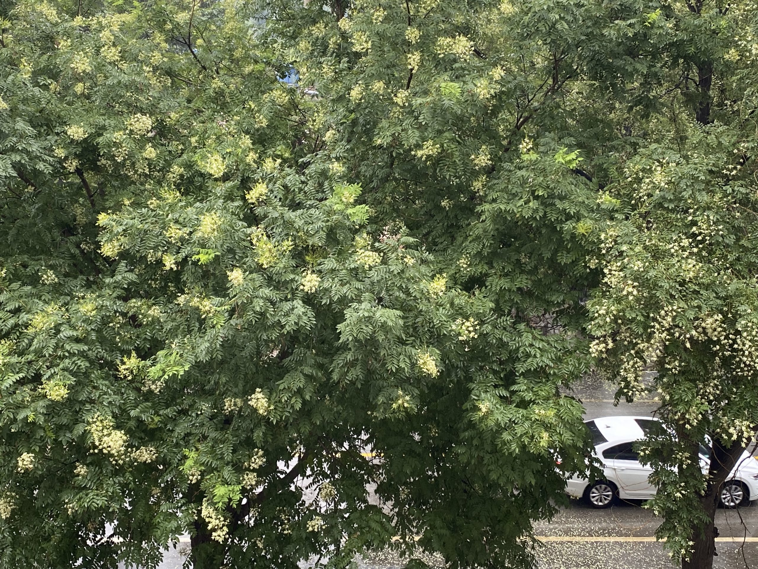 我必须坦诚，我已经完全迷上了北京！尽管身处保定，我心中却始终挂念着远在北京的儿子。-阿旺资源分享网