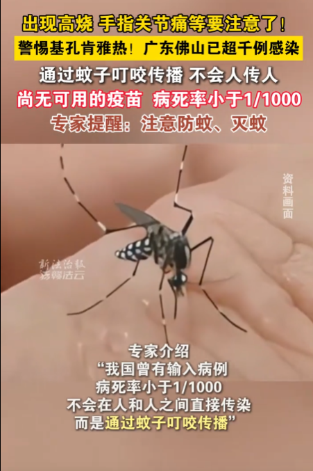 留意高热、关节疼痛等症状！这些可能是基孔肯雅热的征兆，目前尚无针对此病的疫苗可用。-阿旺资源分享网