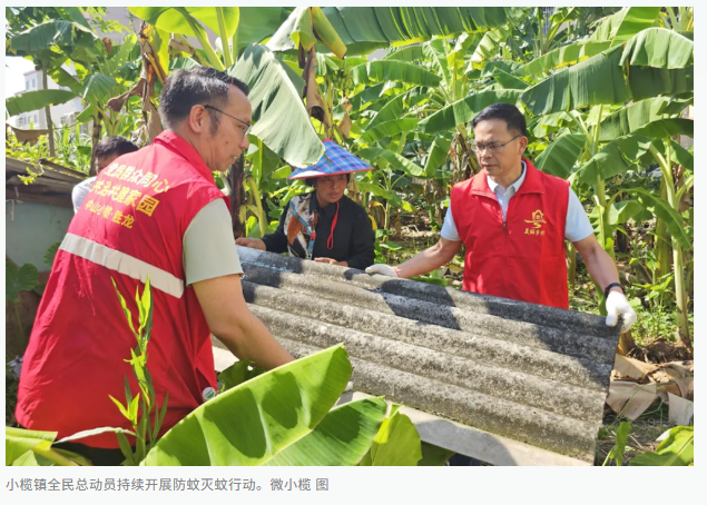 在广东各地，针对蚊虫防控，各级党政领导干部深入一线，与民众共同参与，展开了一场防蚊灭蚊的战斗。他们不仅清理积水、喷洒消毒药剂，还与市民携手并肩，共同捍卫健康生活环境。-阿旺资源分享网