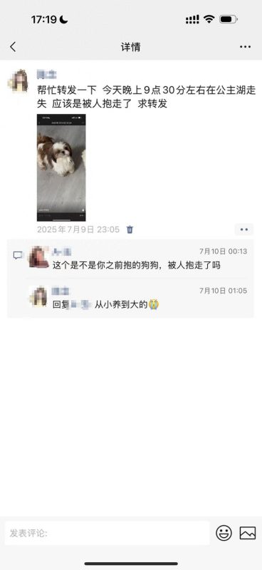 花费一万元购得的西施犬在夜间散步时被盗，失主对此表示困惑，不明白为何警方没有立案。律师指出，警方应当依照法律规定履行调查职责。-阿旺资源分享网