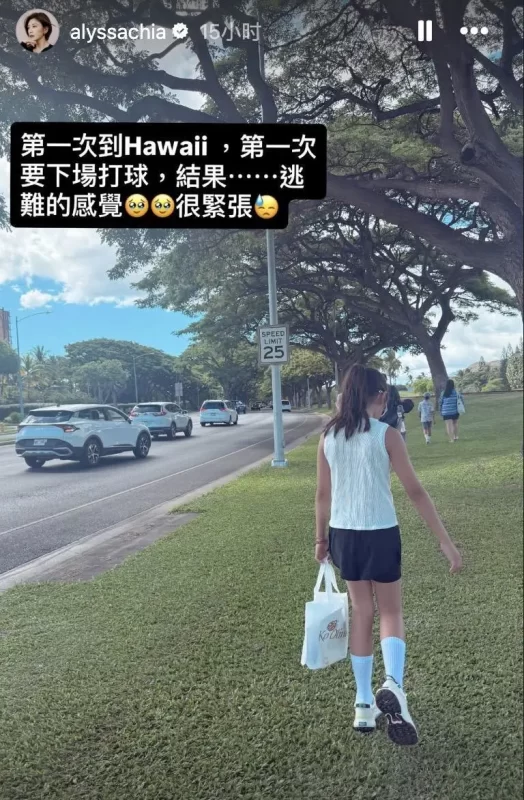 贾静雯携三个女儿赴夏威夷度假，遭遇海啸警报，她感慨道：“仿佛置身于逃难之中。”-阿旺资源分享网