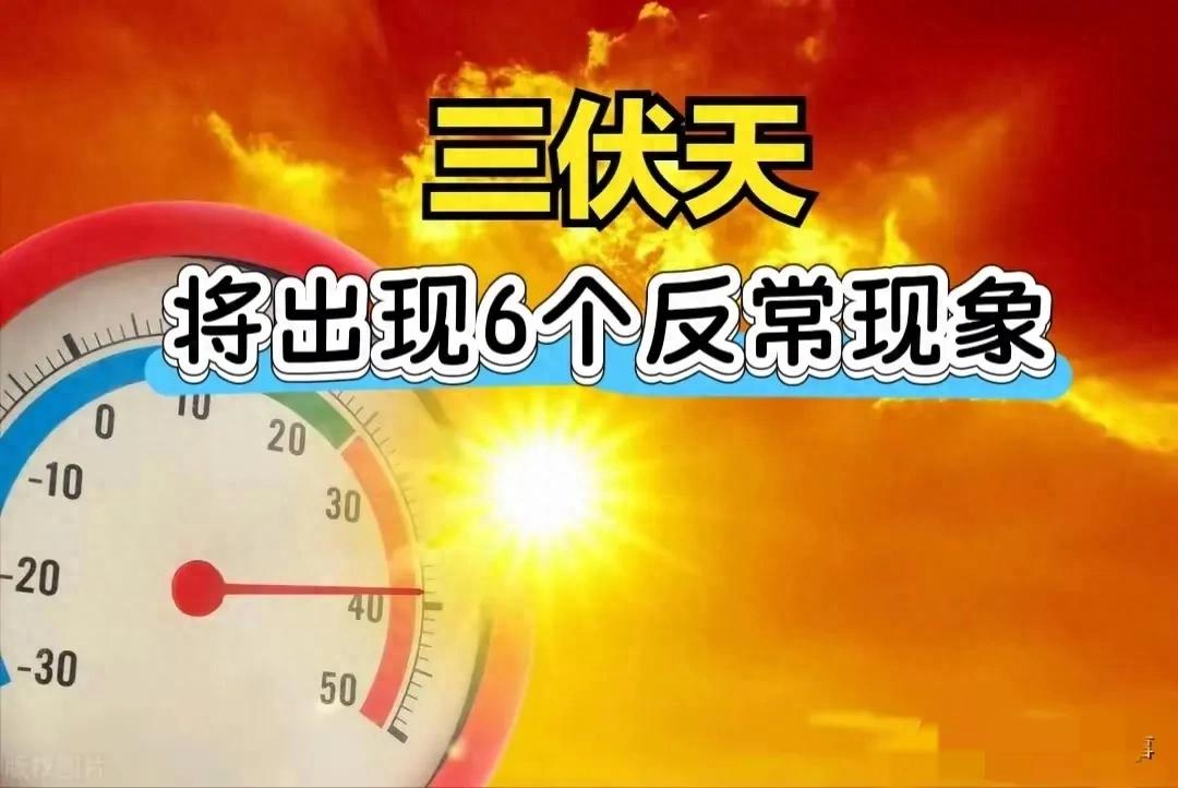 7月20日迎来伏天，预计今年三伏期间将出现六个异常现象，与往常有别-阿旺资源分享网