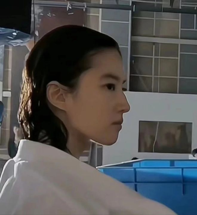 宗馥莉近期动态曝光：曾力挺钟睒睒  获赞宛如刘亦菲！-阿旺资源分享网
