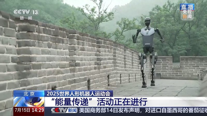 热切期待！下月北京街头将现机器人身影-阿旺资源分享网