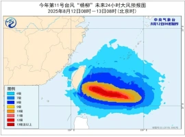 台风“杨柳”预计将于次日登陆沿海地带  预计其带来的强降雨可能引发一系列灾害-阿旺资源分享网