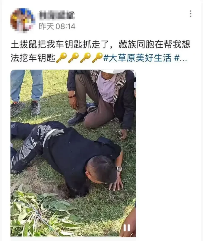 土拨鼠“盗”走游客车钥匙，竟还“得意洋洋”地送回洞中？当地官方回应：这不是传说，确有其事！-阿旺资源分享网