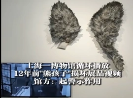 两个未成年人损坏公共展品的事件，并指出相关的监控视频自事件发生以来已经连续播放了12年。-阿旺资源分享网