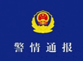 官方公告指出：余某翔与阮某平因涉嫌假冒军人身份实施诈骗行为而受到指控。-阿旺资源分享网