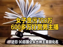 一位出生于90后的女性国企出纳员，挪用了超过700万元的公款，其目的在于为网络男主播进行打赏。-阿旺资源分享网