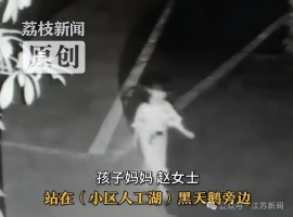 凌晨时分，一名5岁的小女孩在梦中迷失，当她被发现时，正孤独地站在湖畔。-阿旺资源分享网