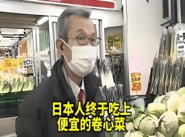 中国原本运往美国的蔬菜出口产品，现已转向销往日本市场。-阿旺资源分享网