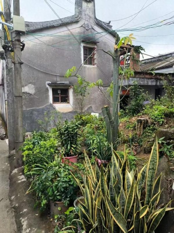 重病夫妻一家6口住60㎡村宅，申请新宅基地被拒，称确权出错，生活空间紧张。-阿旺资源分享网