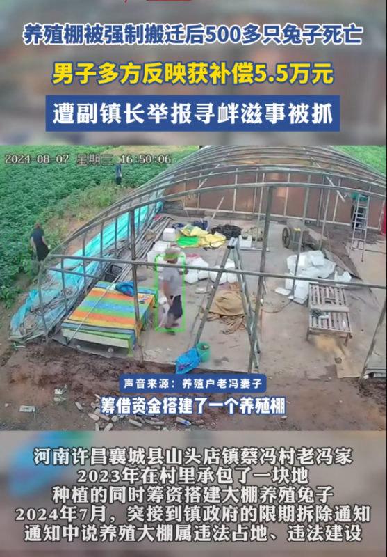 养殖棚强迁致500多只兔子死亡，男子维权被副镇长举报，遭抓捕。-阿旺资源分享网