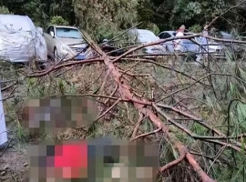 重庆的三位女性游客不幸遭遇意外，其中一位女性不幸离世。受害者家属从相关方面获得了9万元的赔偿。-阿旺资源分享网