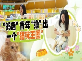 经过4个月的精心制作，一位年轻人成功打造了一座“猫咪地铁站”，这一创意作品引起了都市白领们的强烈情感共鸣。-阿旺资源分享网