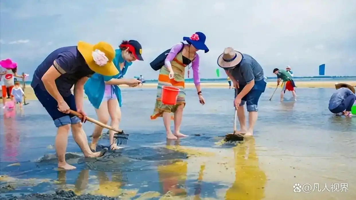 近日，位于日照的一处赶海园涉嫌投放人工饲养的蛤蜊。-阿旺资源分享网