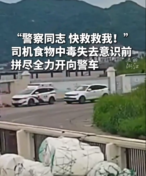 在意识朦胧中，司机因中毒不自觉地猛踩油门，直冲向警车。  警员立刻控制住方向盘，迅速将司机送至医院接受救治。-阿旺资源分享网