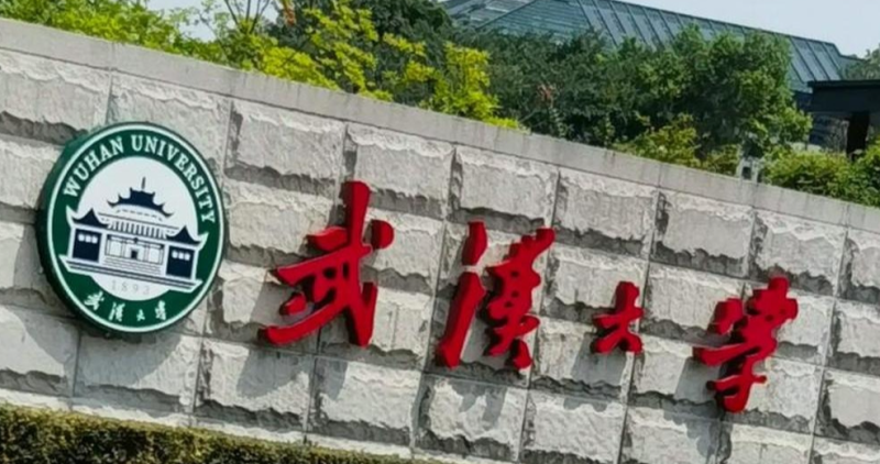 武汉大学官方消息：针对近期网络热议的肖某某、杨某某相关事件，我校已迅速启动调查复核机制。-阿旺资源分享网