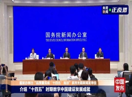 我国在数字化领域实现了显著进展！最新公布的“数字中国”年度报告备受关注！-阿旺资源分享网
