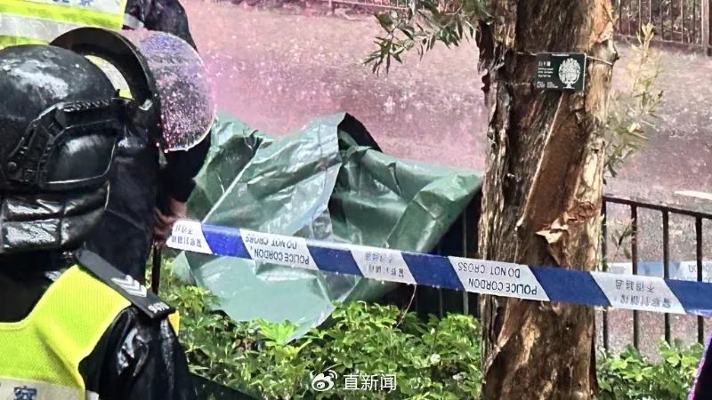 香港警方宣布，此前发现的“无头男尸”头部已成功寻回。据警方透露，该头部是在对现场进行深入调查后找到的，原因是头部受到极大的冲击力，导致其陷入体内。-阿旺资源分享网