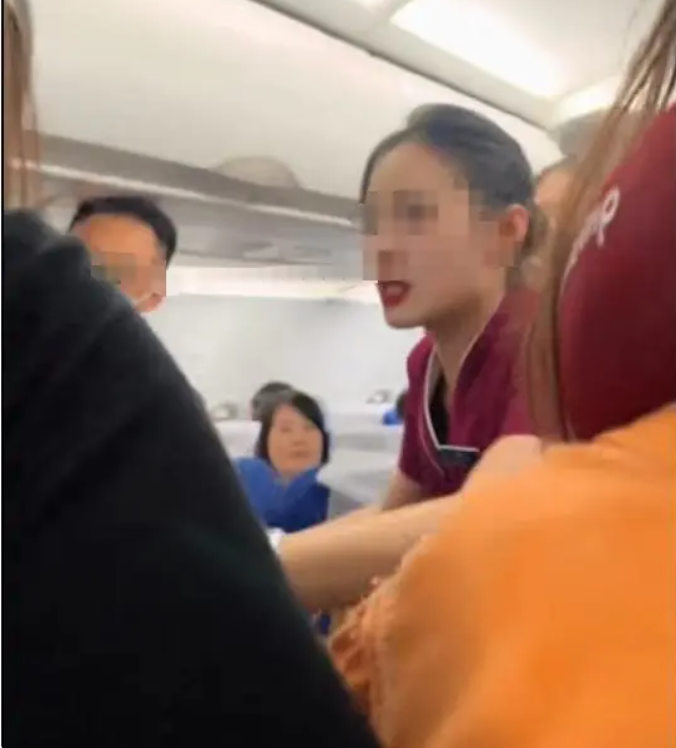 航班冲突：熊孩子顶座挨打，挨打女生被男孩妈质问，引发社会关注-阿旺资源分享网