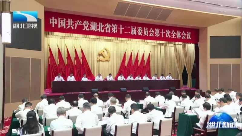 湖北省委强调：全力推动干部勇于担当、积极作为！-阿旺资源分享网