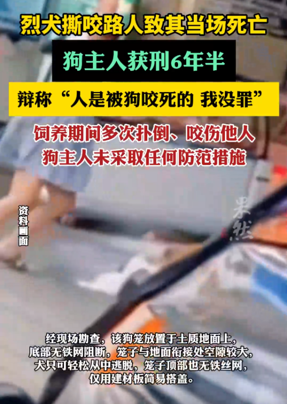 屡次引发事故的恶犬导致人员伤亡，狗的主人却辩解称：“人的死亡是由于狗咬造成的，我并无罪责！”-阿旺资源分享网