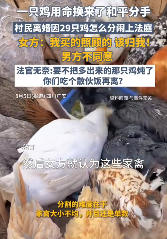 （夫妻离婚分割家禽）+ 法官建议（多出一只鸡，吃了再离）-阿旺资源分享网