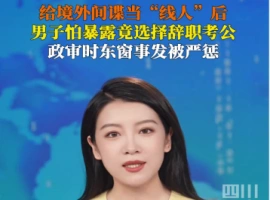 担任外国间谍组织的“情报员”，离职后投身公务员考试，最终被警方逮捕。-阿旺资源分享网