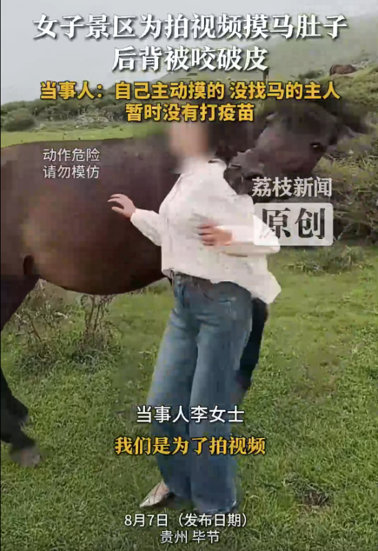 游客景区抚摸马匹腹部不慎被咬，幸好伤势不重！-阿旺资源分享网