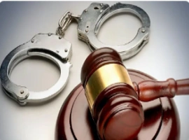 演员李某因犯有诈骗罪行，被判处260万元人民币的罚款，并服刑11年有期徒刑。-阿旺资源分享网