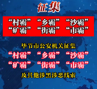 为了应对“六霸”问题，各地区正增强力度，实施严格打击措施。目前，已开始实施线索公开征集活动。-阿旺资源分享网