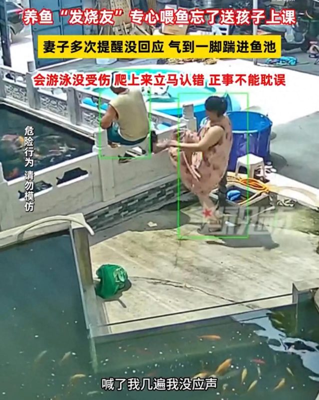因喂鱼，父亲不幸错过了接送孩子上课的时间，结果遭到妻子的一脚，不幸被踢进了鱼池中。-阿旺资源分享网
