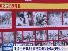 深度解析：61幅珍贵历史照片，全面展现抗日战争的历程-阿旺资源分享网