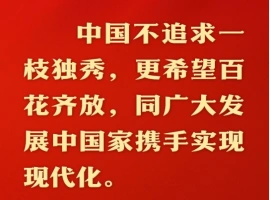 中国现代化之路选择了一条和平发展的路径。-阿旺资源分享网